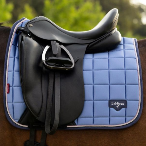 LeMieux 馬場馬術汗墊+護具套組 (粉藍色/FULL/護具四入) 