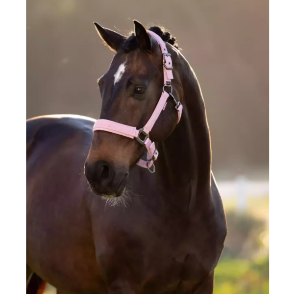 LeMieux 籠頭套組 (粉紅色/緞面/含牽馬繩/FULL) 