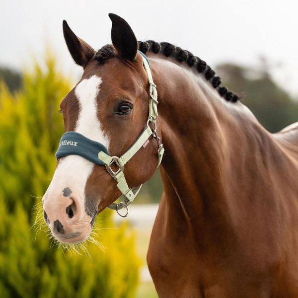 LeMieux 籠頭套組 (含牽馬繩/刷毛布籠頭/5色可選/FULL/COB/PONY) 