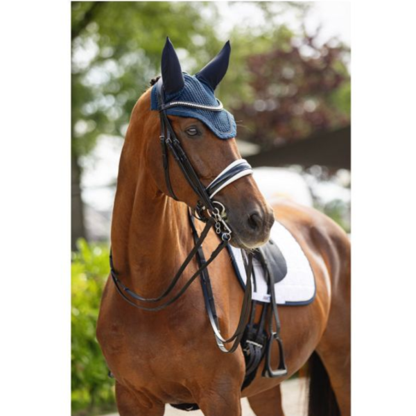 ANKY 皮製雙韁繩 (2色可選/水晶額革/FULL) 