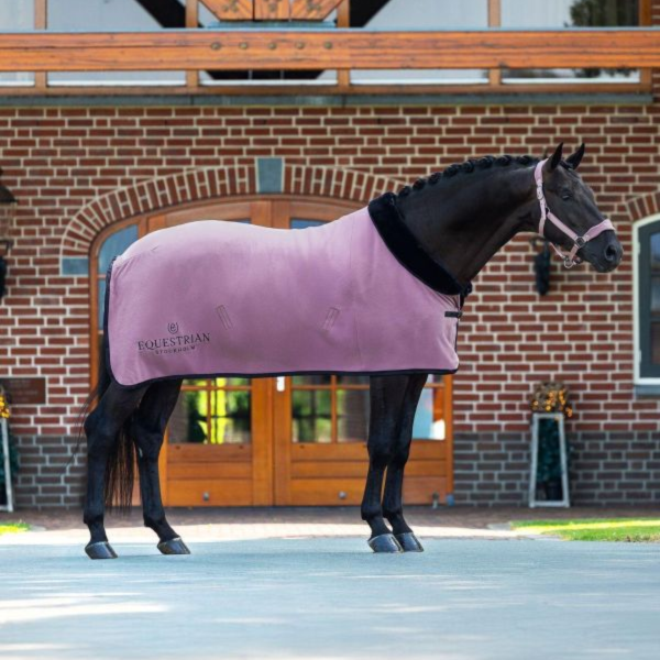 EQUESTRIAN STOCKHOLM 籠頭 (2色可選/FULL) 