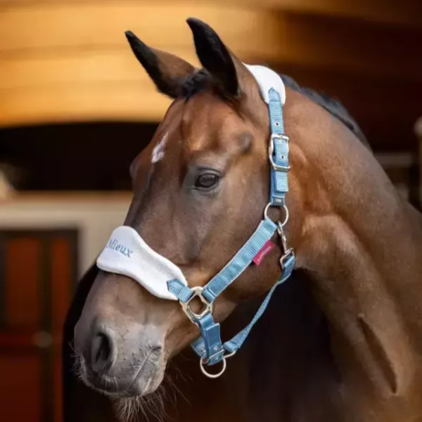 LeMieux 籠頭套組 (含牽馬繩/刷毛布籠頭/4色可選/FULL) 