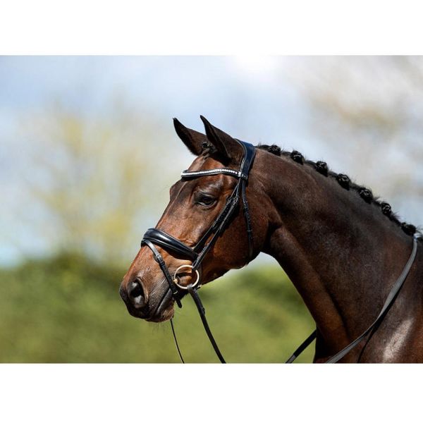 ANKY 皮製韁繩 (2色可選/水晶額革/含手韁/FULL) 