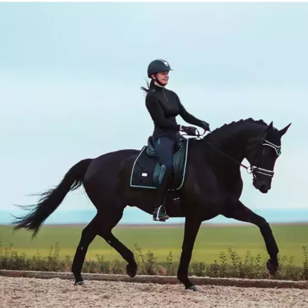 EQUESTRIAN STOCKHOLM 馬用繃帶 (黑色) 