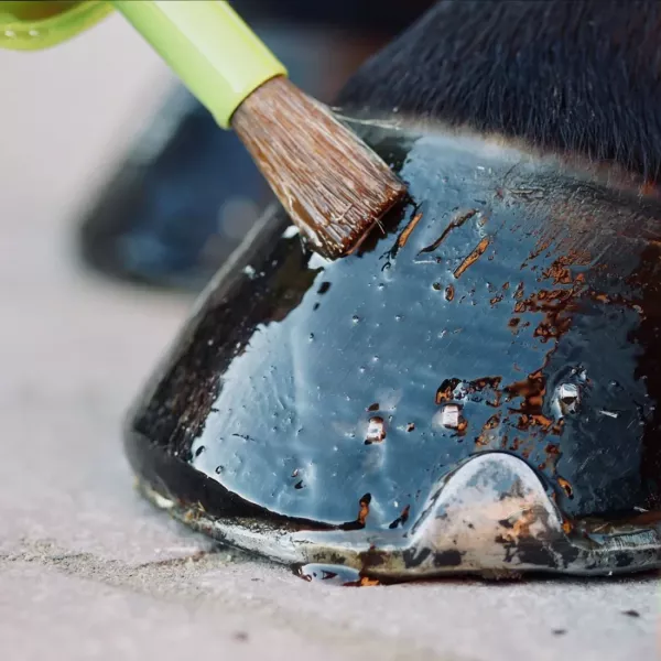 EQUINATURA 蹄油 (450ml) 