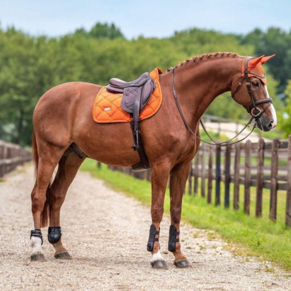 EQUESTRIAN STOCKHOLM 障礙汗墊 (絨布面料/栗橘色/FULL) 