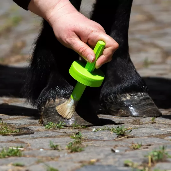 EQUINATURA 蹄油 (450ml) 