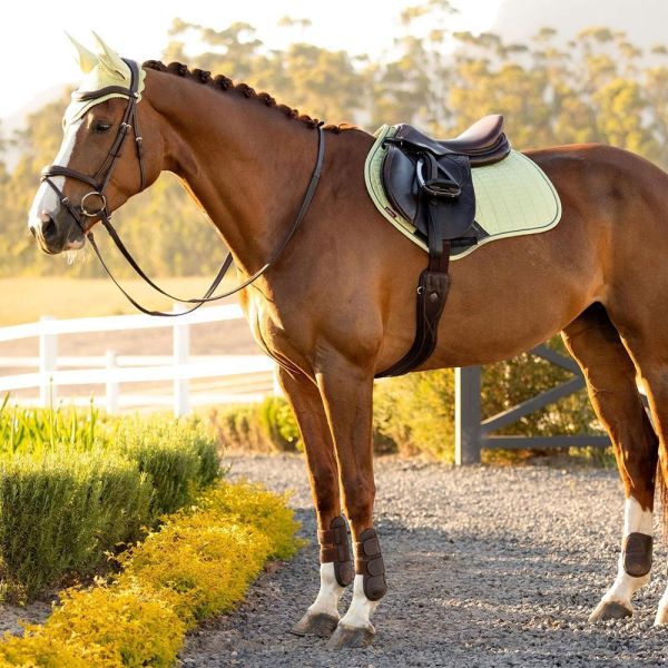 LeMieux 綜合障礙汗墊+耳罩套組 (蘋果綠/FULL) 