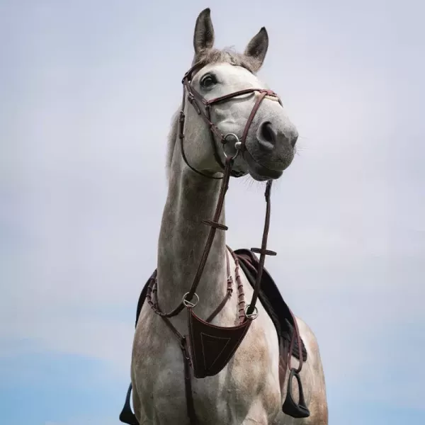 CWD 皮製吊疆 (深棕色/FULL) 