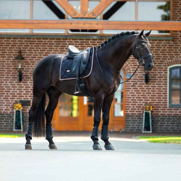 EQUESTRIAN STOCKHOLM 馬場馬術汗墊 (黑底粉邊/FULL) 