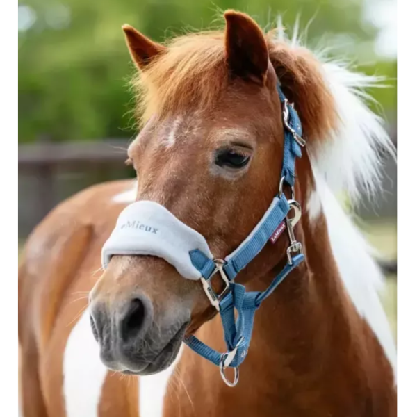 LeMieux 籠頭套組 (含牽馬繩/SUPER MINI PONY/2色可選) 