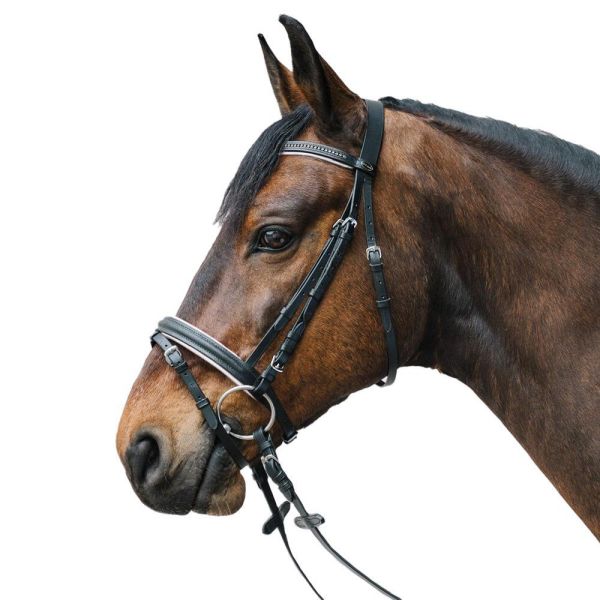 皮韁 (7色可選/MINI PONY/PONY/COB/FULL) 