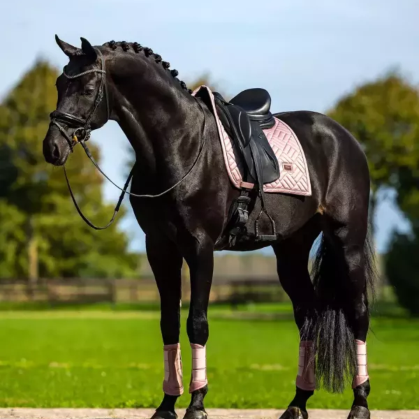 EQUESTRIAN STOCKHOLM 馬場馬術汗墊 (柔粉色/FULL) 