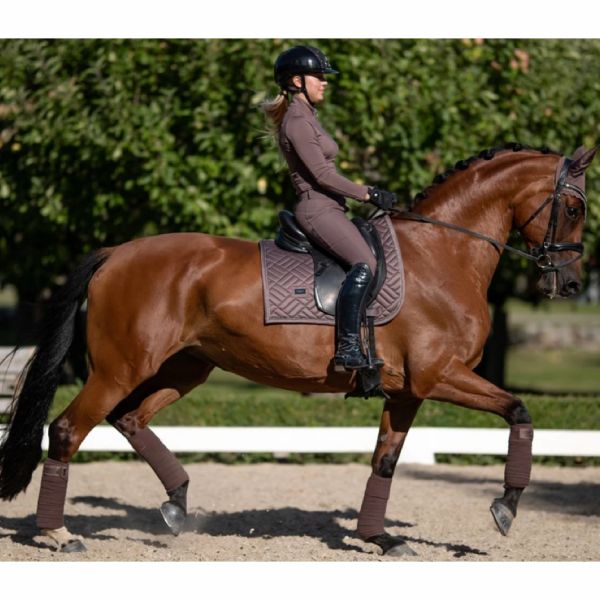 EQUESTRIAN STOCKHOLM 馬用繃帶 (極光藍/棕紫色) 