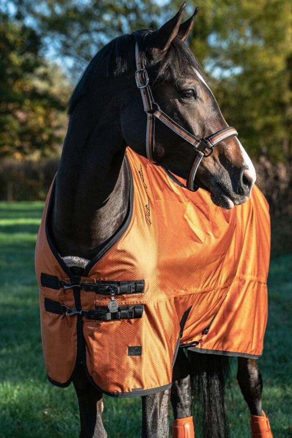 ESKADRON 防風輕保暖馬衣 (琥珀色/145cm) 