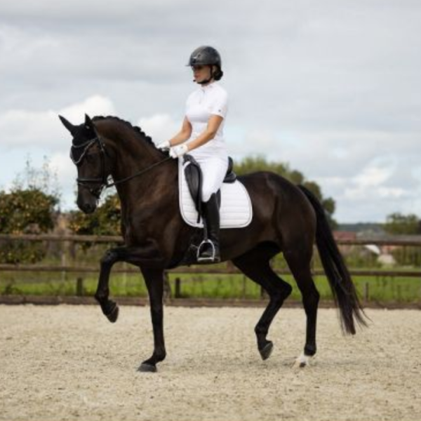 ANKY 減音馬耳罩 (FULL/黑色/碎鑽飾邊) 