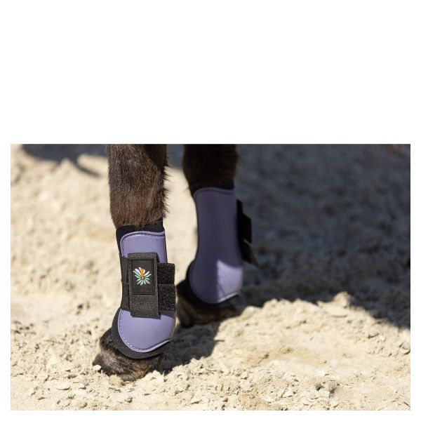 障礙護具 (前後腿/COB/薰衣草紫) 