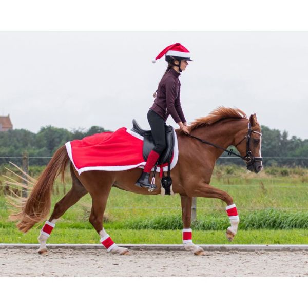 帽盔套 (聖誕帽/適用全尺寸頭盔) 