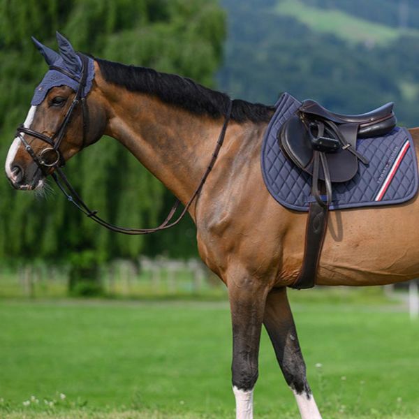 TOMMY HILFIGER 障礙汗墊 (2色可選/FULL) 