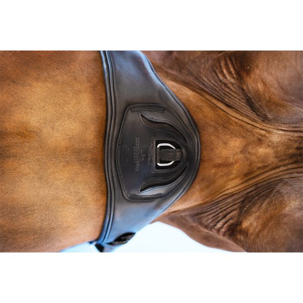 SCHOCKEMOHLE SPORTS 馬術皮肚帶(65cm/70cm)) 