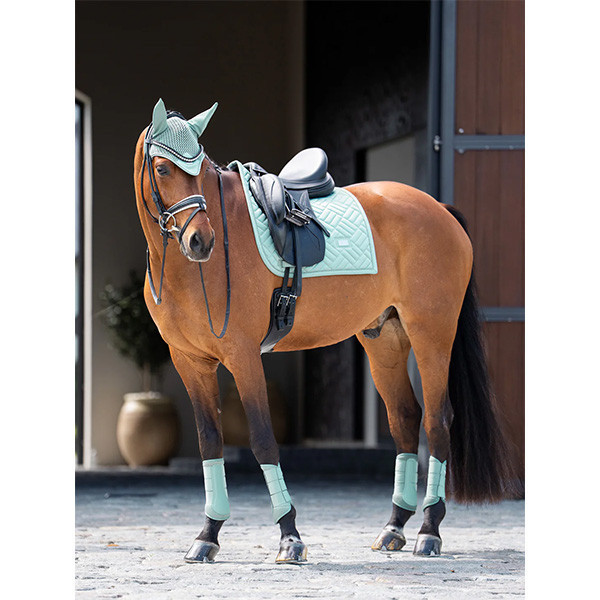 EQUESTRIAN STOCKHOLM 馬用耳罩 (珊瑚紅/薄荷綠/FULL) 