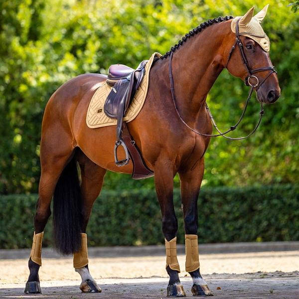 EQUESTRIAN STOCKHOLM 馬用耳罩 (香檳金/COB) 