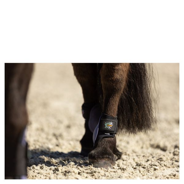 障礙護具 (前後腿/COB/薰衣草紫) 