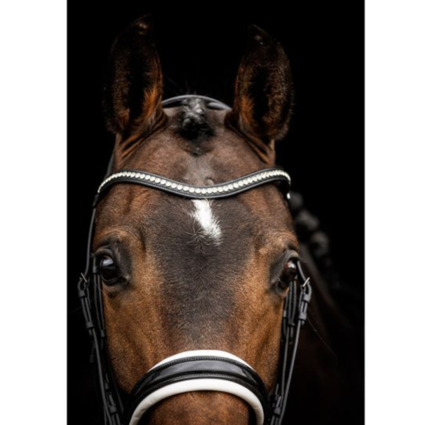 ANKY 皮製雙韁繩 (2色可選/水晶額革/FULL) 