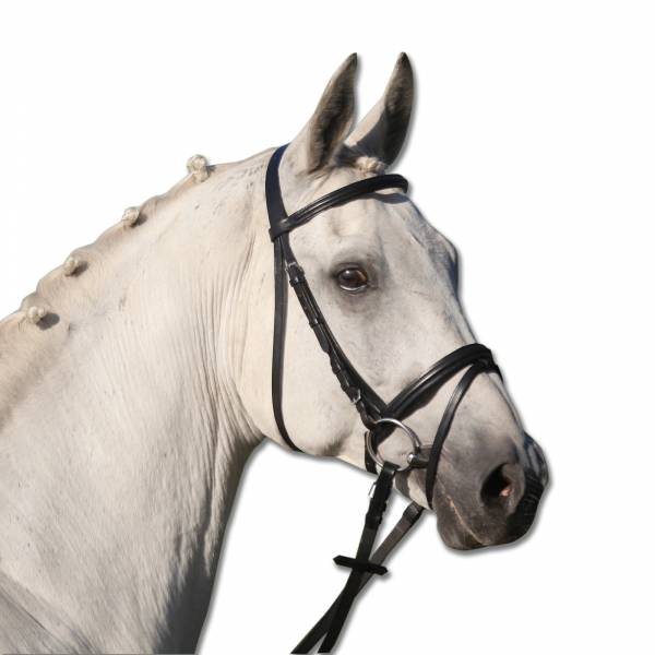 皮韁 (黑色/PONY) 