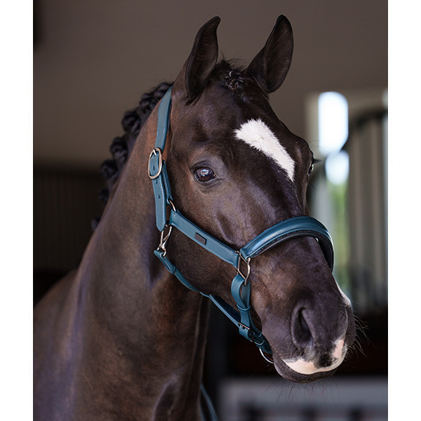 EQUESTRIAN STOCKHOLM 皮革籠頭 (馬體工學/灰紫色/藍綠色/FULL) 