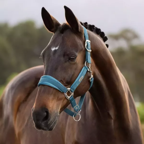 LeMieux 籠頭套組 (含牽馬繩/刷毛布籠頭/4色可選/FULL) 