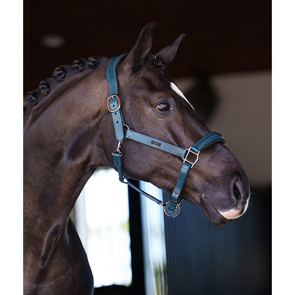 EQUESTRIAN STOCKHOLM 皮革籠頭 (馬體工學/灰紫色/藍綠色/FULL) 