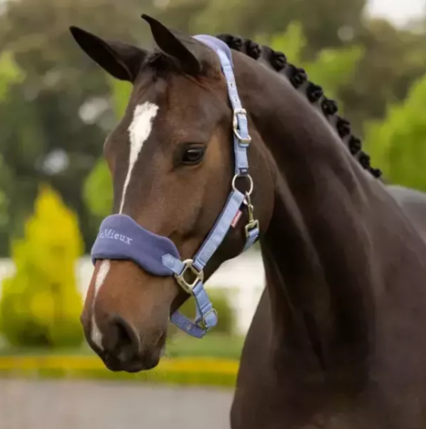 LeMieux 籠頭套組 (含牽馬繩/刷毛布籠頭/4色可選/FULL) 