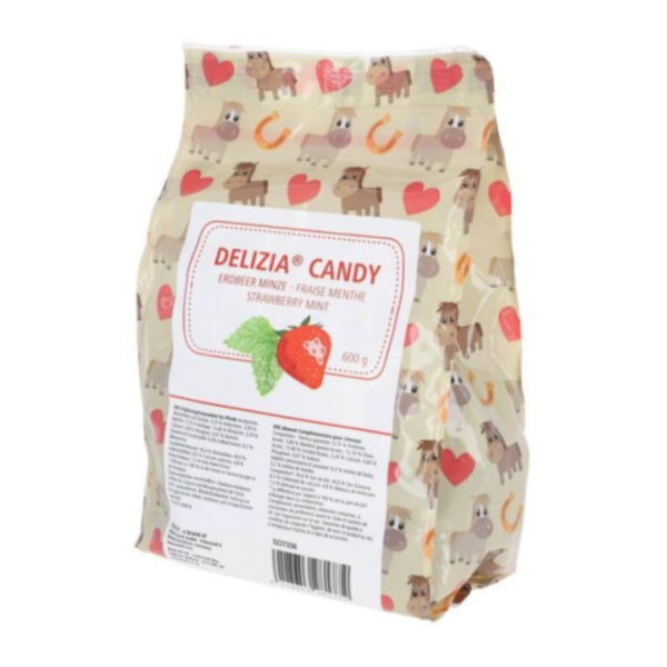 DELIZIA 馬餅乾 (600g/袋裝/3種口味可選) 