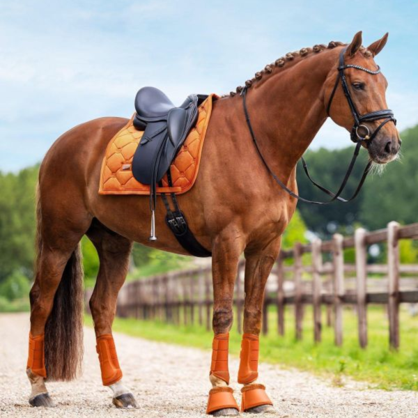 EQUESTRIAN STOCKHOLM 護具 (透氣款/栗橘色/FULL) 