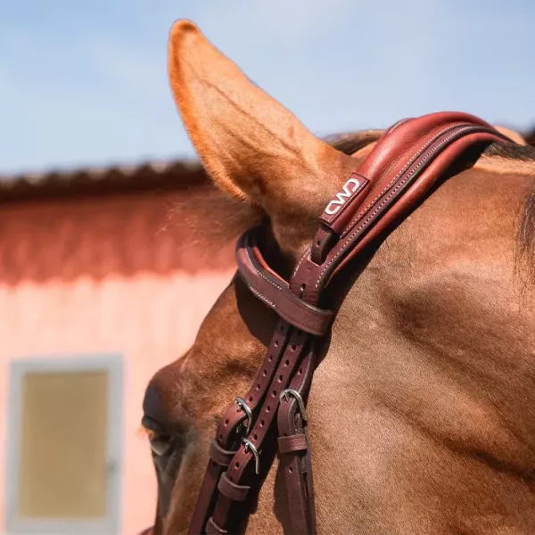 CWD 皮製韁繩 (深棕色/FULL) 