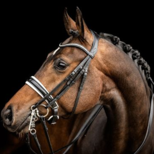 ANKY 皮製雙韁繩 (2色可選/水晶額革/FULL) 