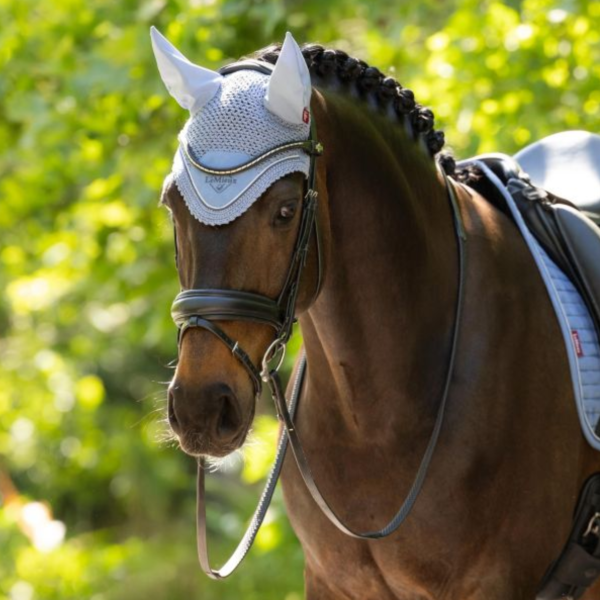 LeMieux 綜合障礙汗墊+耳罩套組 (粉藍色/FULL) 