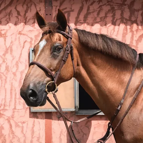 CWD 皮製韁繩 (深棕色/FULL) 