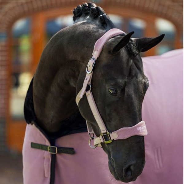 EQUESTRIAN STOCKHOLM 籠頭 (2色可選/FULL) 