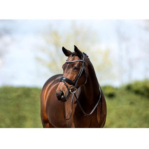 ANKY 皮製韁繩 (2色可選/水晶額革/含手韁/FULL) 