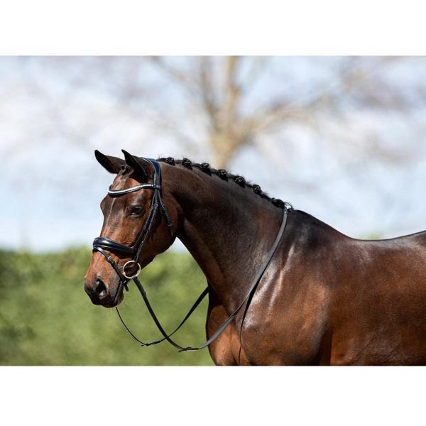 ANKY 皮製韁繩 (2色可選/水晶額革/含手韁/FULL) 