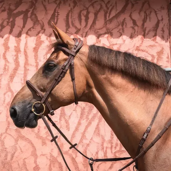 CWD 皮製韁繩 (深棕色/FULL) 