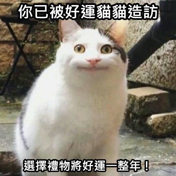 你已被好運貓貓造訪 