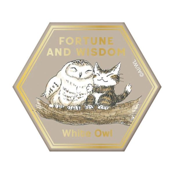 招福龜甲磁鐵-福&智慧 