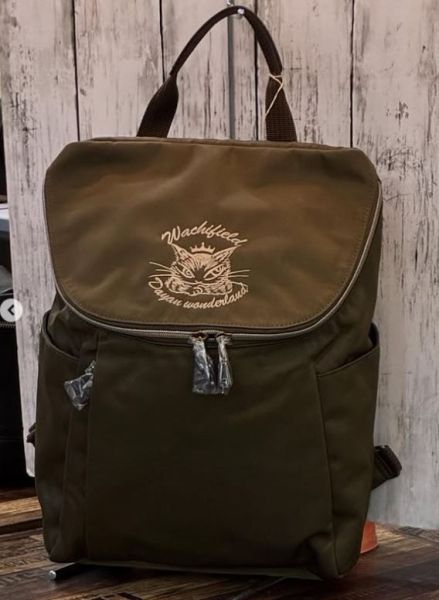 DC#17流行休閒後背包 