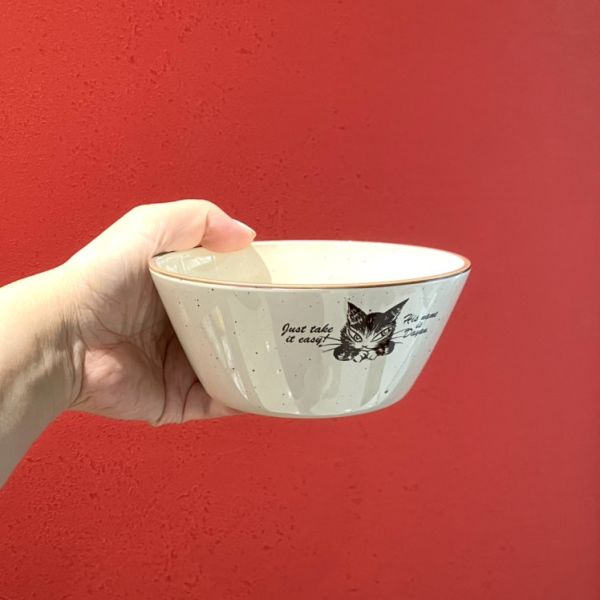 耐摔樹脂沙粒紋碗 