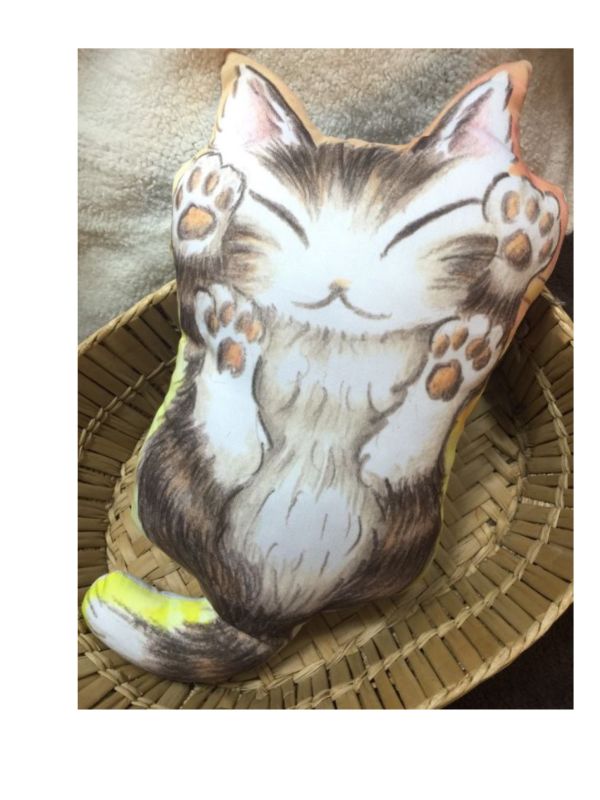 贈品-抱枕-感謝季 