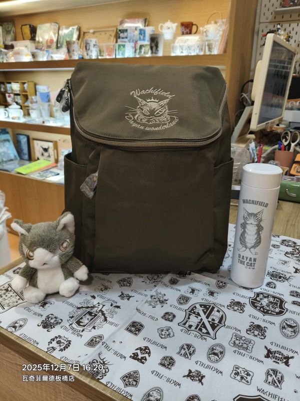 DC#17流行休閒後背包 