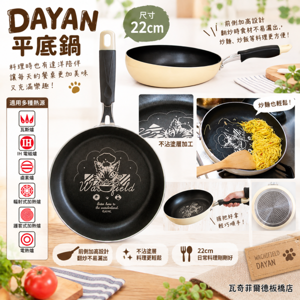 DAYAN平底鍋 